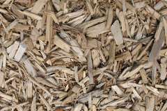 biomass boilers Ernesettle